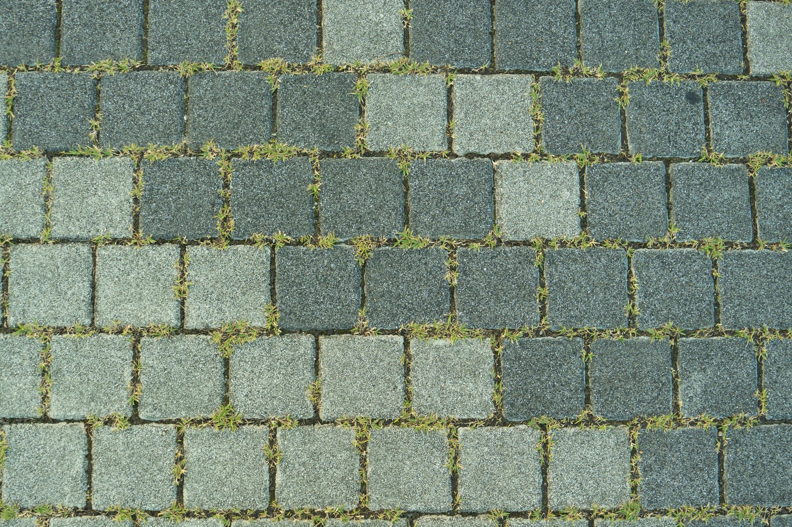 أعمال الانترلوك والبلدورة