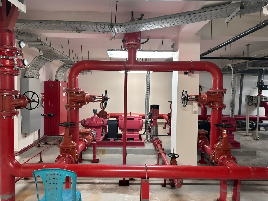 Active Guard Safety Systems